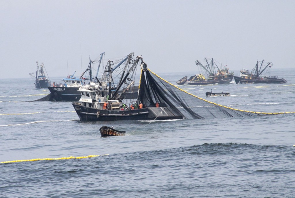 Fishing Boats